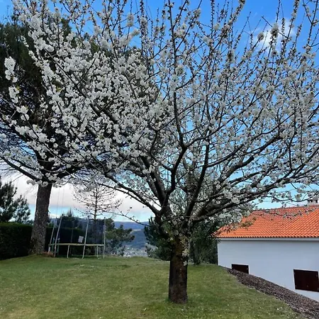 Casa Catita - Douro Villa Baiao Exterior photo